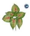 GloboStar® CALADIUM 78271 Τεχνητό Φυτό Καλάδιο - Μπουκέτο Διακοσμητικών Φυτών - Κλαδιών με Φύλλωμα Πράσινο - Κόκκινο - Κίτρινο Υ28cm